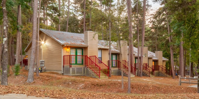 Rustic beige cabins with red staircases surrounded by a dense grove of tall trees in a tranquil forest setting.