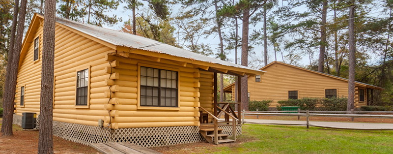 Two log cabin-style buildings surrounded by tall pine trees, with a small porch and lattice foundation on the closer cabin.