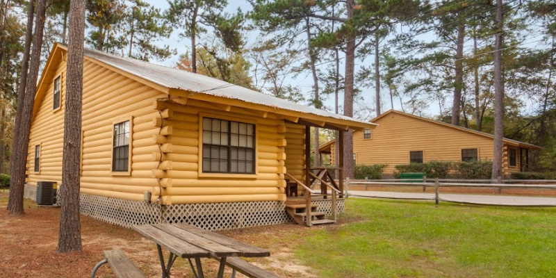 Two log cabin-style buildings surrounded by tall pine trees, with a small porch and lattice foundation on the closer cabin.